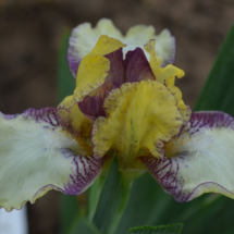 Karlusha(B.PRAVDYVY)
