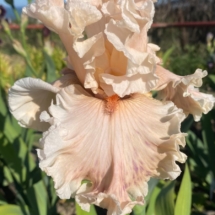 Istoriia Moho Kokhannia Istoriia Moho Kokhannia