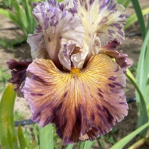 YMikhliuchenko_26_Vintazh_TB_2025_photobyYMikhliuchenko (2) YMikhliuchenko_26_Vintazh_TB_2025_photobyYMikhliuchenko (2)