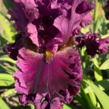 YMikhliuchenko_47_OdaPrystrasti_TB_2025_photobyYMikhliuchenko цар-Горох